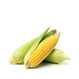 Fresh Sweet Corn Naturally Sweet