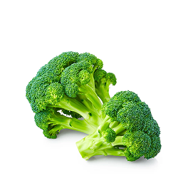 Fresh Green Broccoli With Nutritious