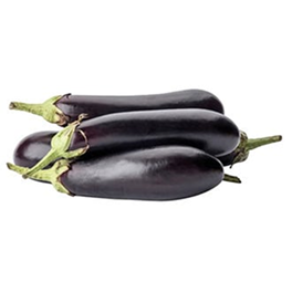 Long Eggplant A Unique Gift of Nature