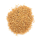 Premium White Mustard Seeds (Sorisa / Sorisha Dana)